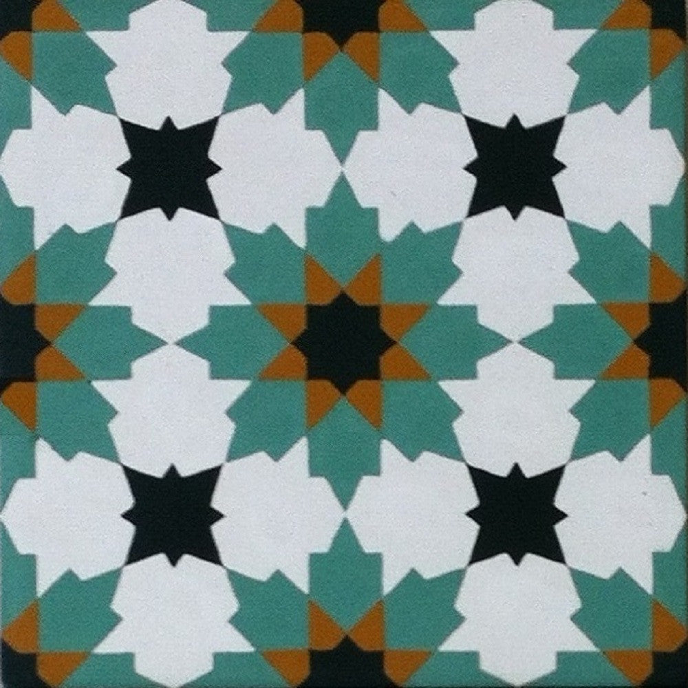 Traditional N20-028