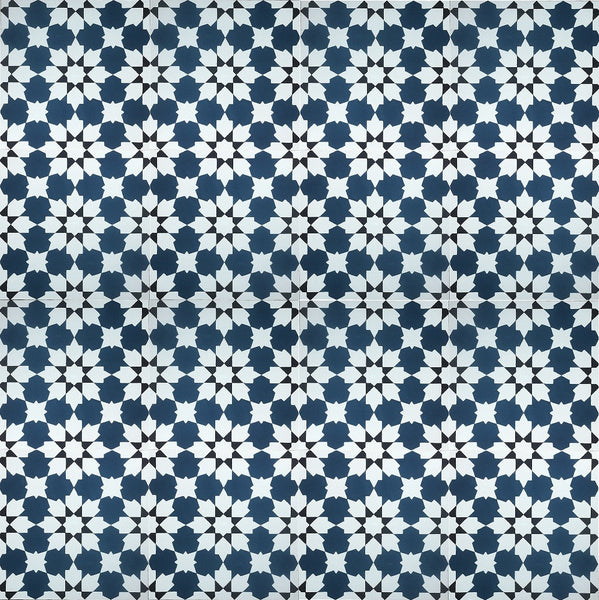 Traditional N20-028